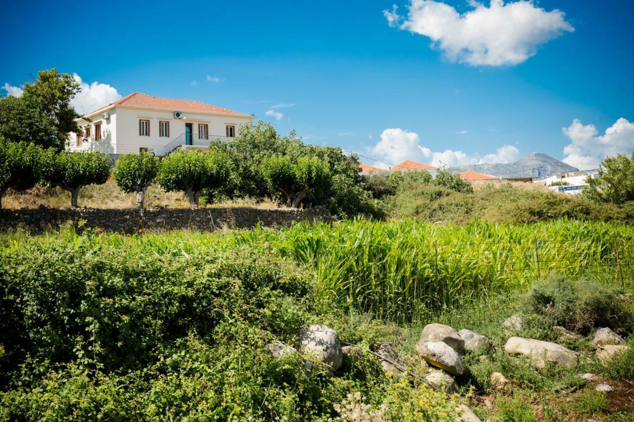 Villa Alexandra Kíssamos Eksteriør billede